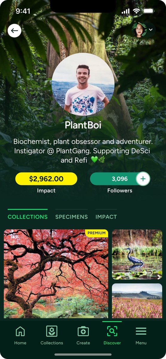 PLANTGANGxyz's tweet photo. Who wants a sneak peak at the worlds first Virtual Herbarium platform? 👀🌿🍄

Check out the WIP profile of @PLANT__BOI where you can Upload, View &amp; Collect real-world, scientific 3D model specimens🔬 https://t.co/ETfNBiOpiY