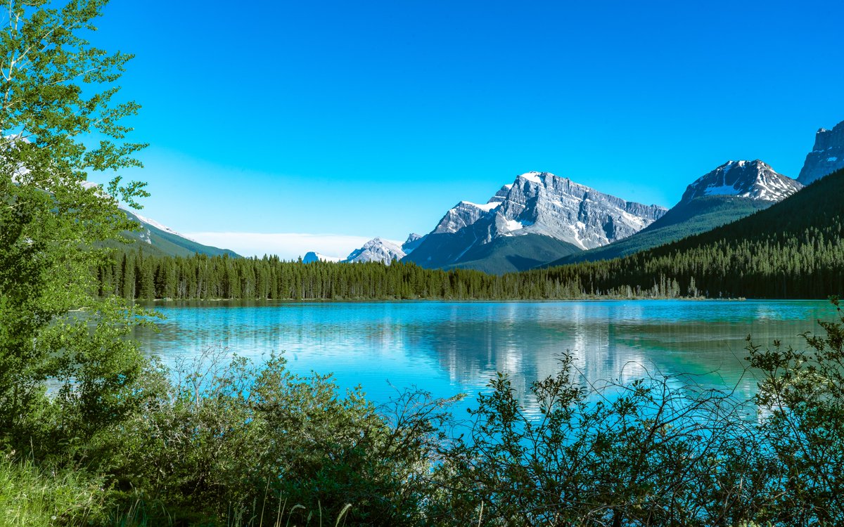Today is the last day of Early Bird registration for the 2023 APPI conference in Jasper! Don't miss out on significant savings! For the conference program and to register visit: albertaplanners.com/events/appi-co…