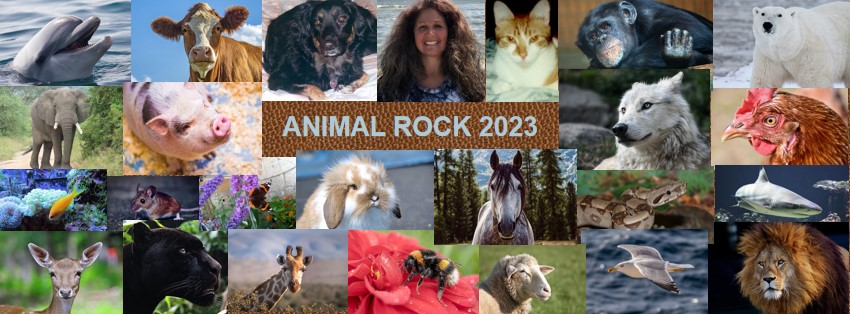 HealWithAnimals's tweet photo. ANIMAL ROCK 2023
Sunday, October 1, 2023
10 am - 4 pm
Beach 94 Street &amp; SFP
Rockaway Beach, NY 11693

Rockaway’s annual celebration of our relationships with animals. 

https://t.co/OzSRemUwCv https://t.co/XuvHaOZja8