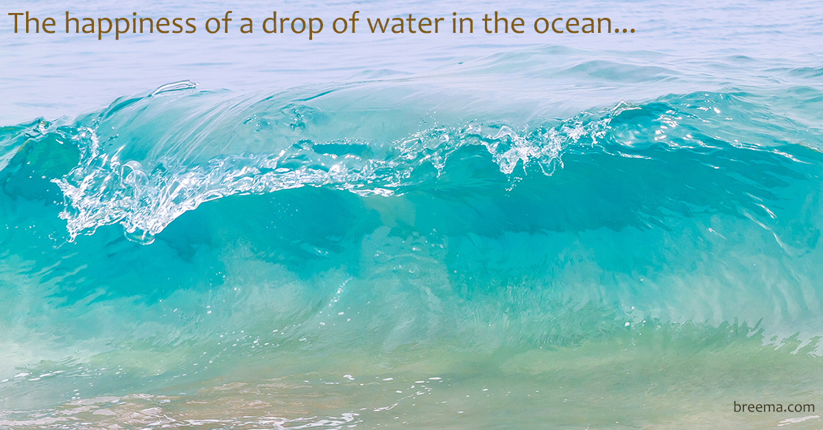 BreemaCenter's tweet photo. We are united in reality, but in our imagination we are separated. The happiness of a drop of water in the ocean is in the knowledge that it is an unseparated part of the ocean. Check out https://t.co/sBL9bjpGb4
#essentialwellbeing #breema #beingpresent #truenature https://t.co/TxEBJQj4px