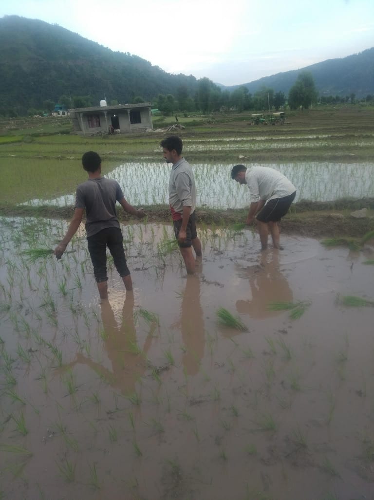 mahjaben_younas's tweet photo. JK PAHARIS FIRST LINE OF DEFENCE 

We fervently appeal to the government to extend the benefits and reservations provided to Scheduled Tribes to our lower cast, acknowledging the similar challenges and vulnerabilities we face.

#JaiBharatJaipaharis
@AmitShah @MundaArjun https://t.co/CR2E28X7Cy