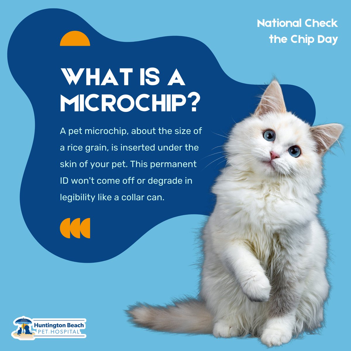 Show your pet some love today by getting them microchipped for #NationalChecktheChipDay! Microchipping is a safe and permanent way to identify your pet in case they ever get lost - don't forget to keep your contact info updated. 🐾 #PetMicrochipping