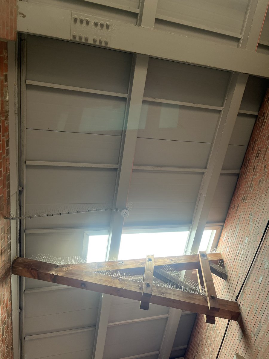 My heart will go on BGM