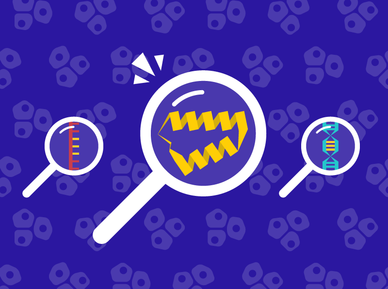 In three new pan-cancer studies, #CPTAC researchers have harmonized data on proteins, DNA, and RNA, together with clinical data from more than 1,000 patients to uncover ways in which proteins are involved in important cancer processes. broad.io/pancancer0814