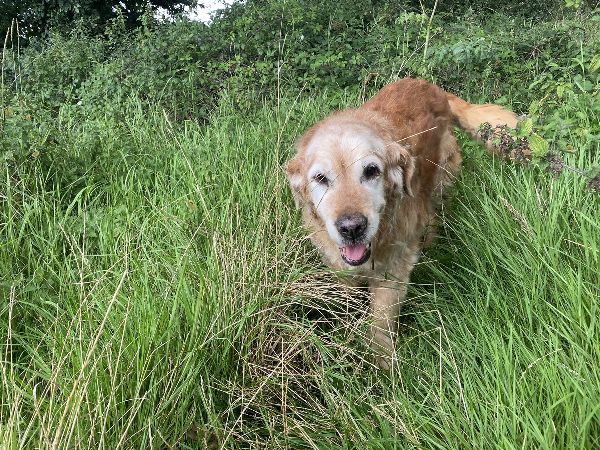 Ben_beeezy's tweet photo. 17 Today 🥹❤️🎉🎁🦴 https://t.co/bkvIQwudP5