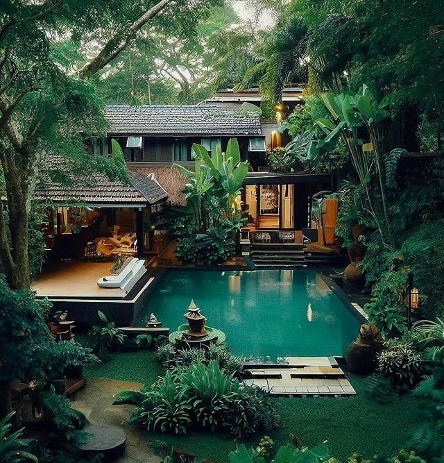 Forest house 🏡