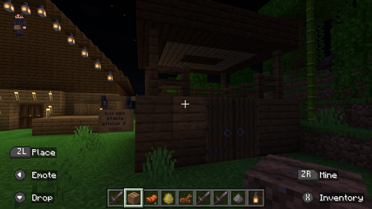 #Minecraft #NintendoSwitch