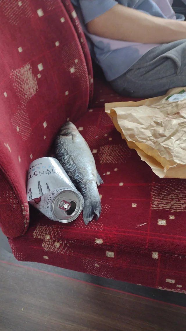 Monster y al gimnasio 💪