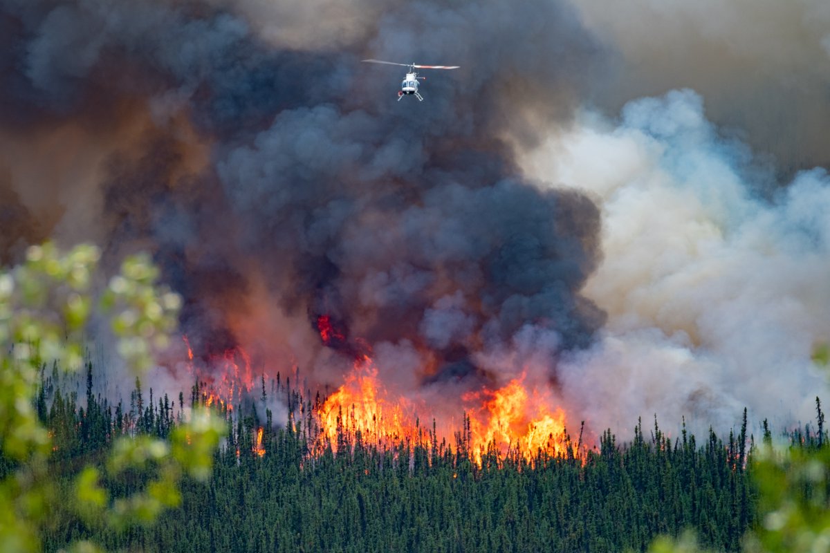 #CALFIRE supports Canada's wildfire crisis with 2 Fire Behavior Analysts & 1 Research Data Specialist. Together, they'll predict fire behavior & growth, showcasing global unity in emergencies. #InternationalCooperation #WildfireAid
