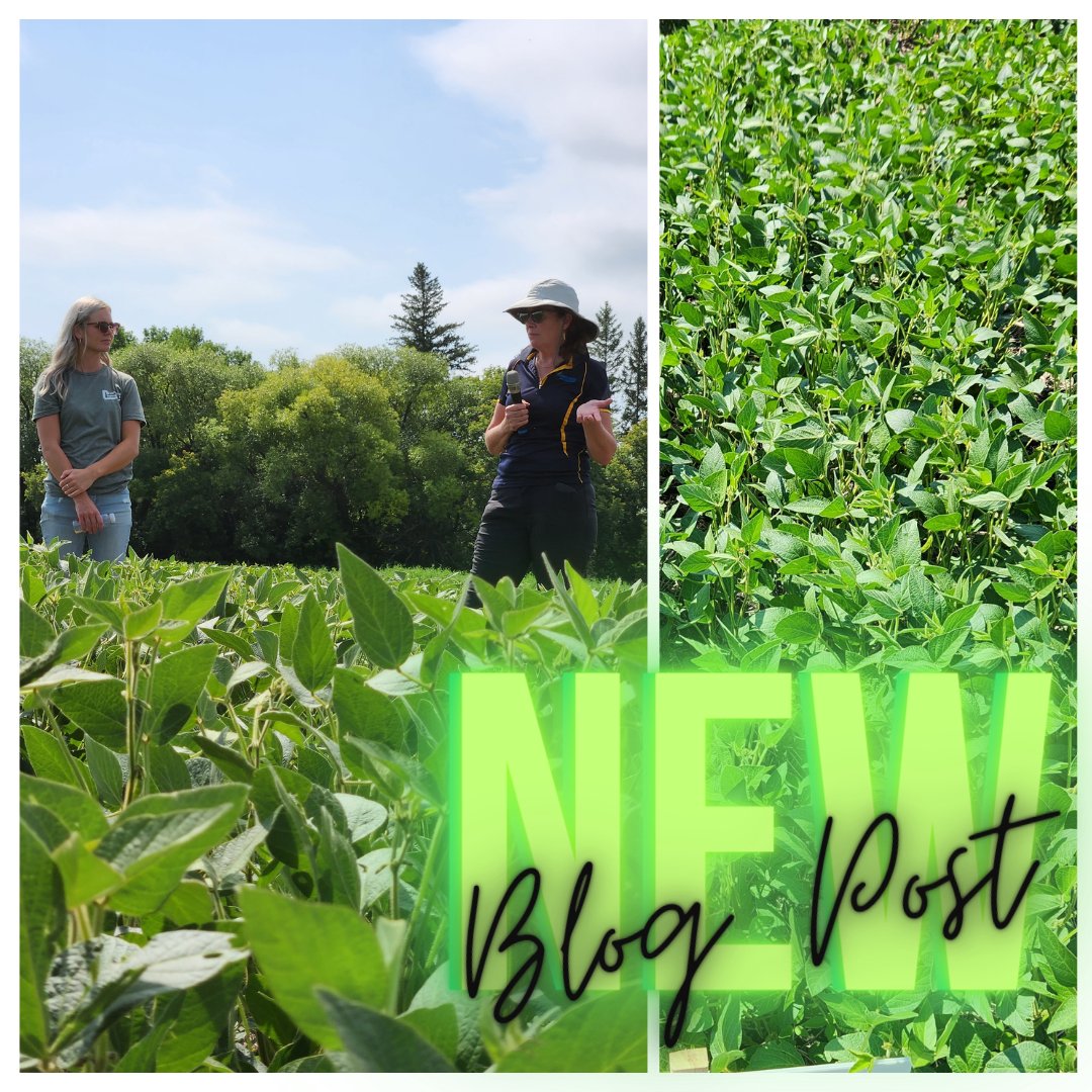 2020SeedLabs's tweet photo. The beautiful thing about a field trial is you can see the results of testing and that can tell a compelling story!

This field trial at #RutherfordFarms told a text book tale about the importance of vigour testing.

Want to know more? 
1/2 https://t.co/MxuzKYC19Q