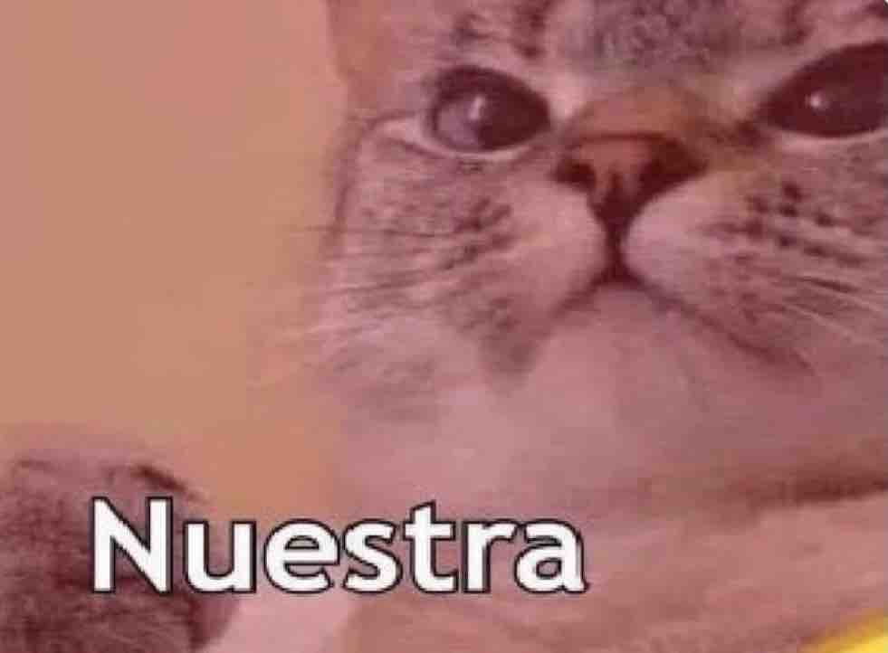 Mi amorcito: Ya me depositaron mi quincena 

Yo: