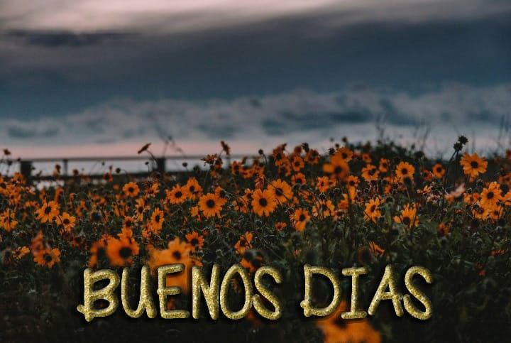 Carola Aponte tweet media