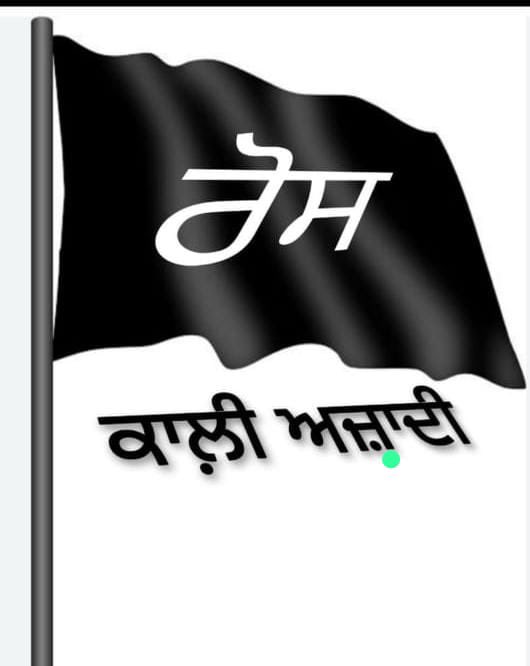 gurjeetkaurr17's tweet photo. @BhagwantMann 
@harjotbains 
@AamAadmiParty https://t.co/Jhup4z81rh
