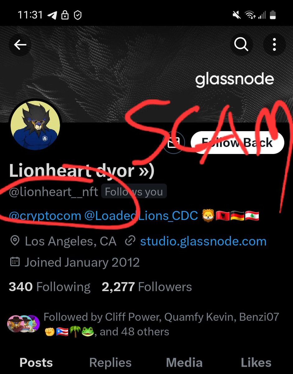 vornoxx.cro tweet media