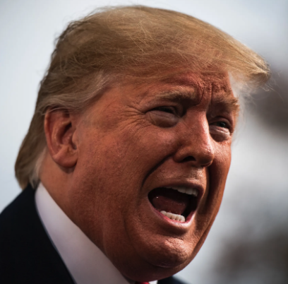 BREAKING: Donald Trump reacts to the slew of damning new indictments with the surprising announcement of a harebrained scheme to obtain 'complete EXONERATION' for himself — and experts are roaring with laughter. According to Trump, he is about to release a 'Large, Complex,…