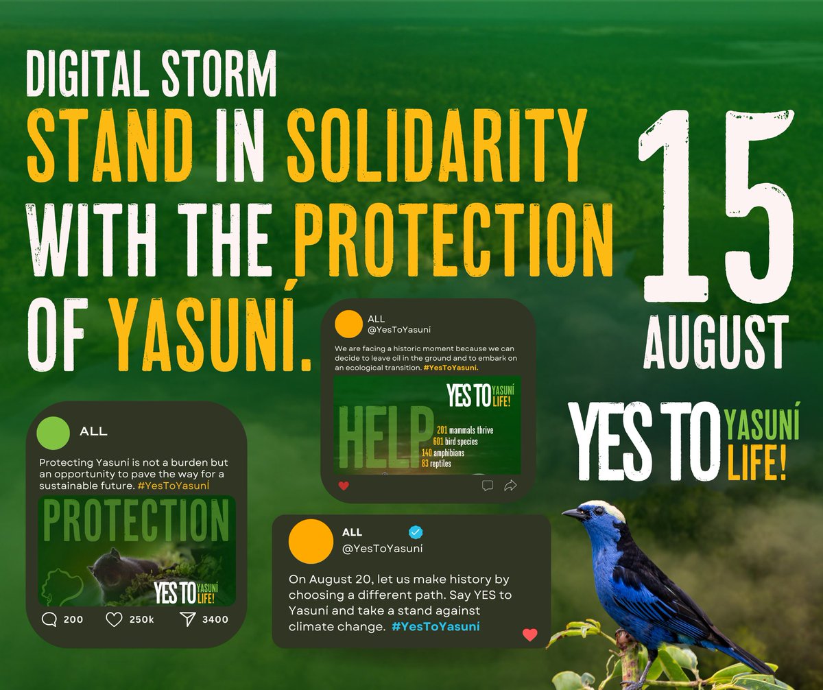 TheOxygenProj's tweet image. We have a unique opportunity to kick oil out of the Ecuadorian Amazon. Voting “Yes" in the referendum is a vote for a future in harmony with nature. 

Join us. Share this or make your own tweet to say #YesToLife #YesToYasuní.

@CuencasSagradas