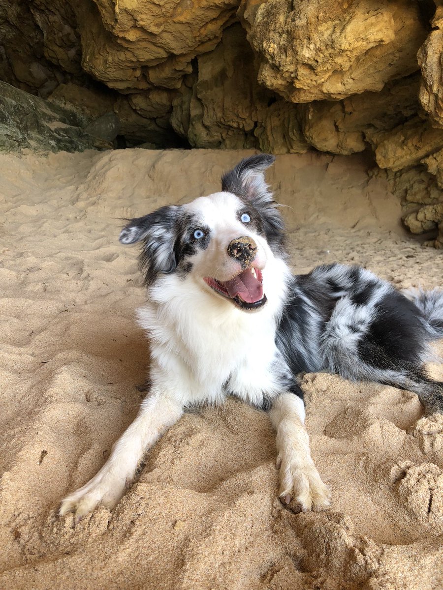 Se busca compañera de piso en Sevilla, zona centro, entre las setas y la alameda, piso amplio, habitación con balcón a la calle, 200+ gastos.
Somos 3 chicas y un perro, súper buen rollo, vida de piso y muy limpias☺️☺️