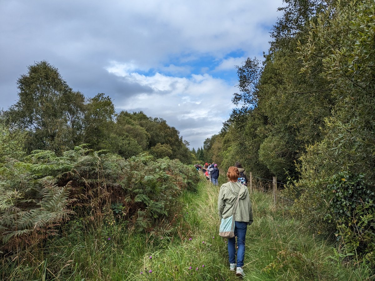 Thank you to everyone who attended IPCC's butterfly walk at Lullymore West today for Heritage Week 2023! Lots of butterflies were spotted, including Peacock, Brimstone, Small Tortoiseshell, Red Admiral and Common Blue. Thanks to @HeritageHubIRE and @KildareCoCo for their support.