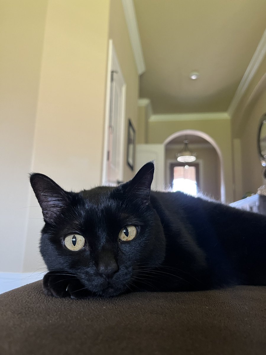 Alanis King tweet media