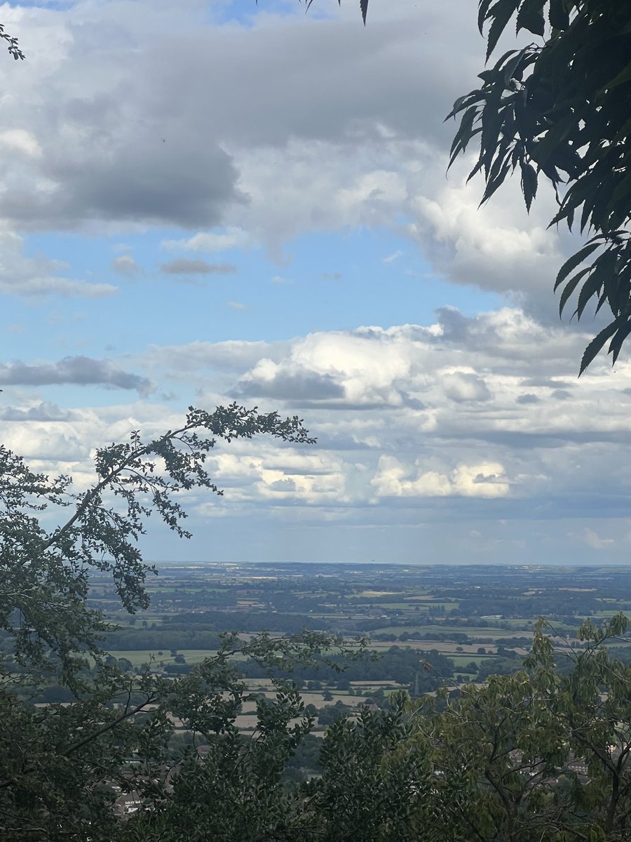JosieAllan4's tweet image. Zeb n I taking a quick walk up a hill. 🌿👍☀️☀️🌈
#magictrees #magichills #magicskies

Blackberries taste sweeter up here.