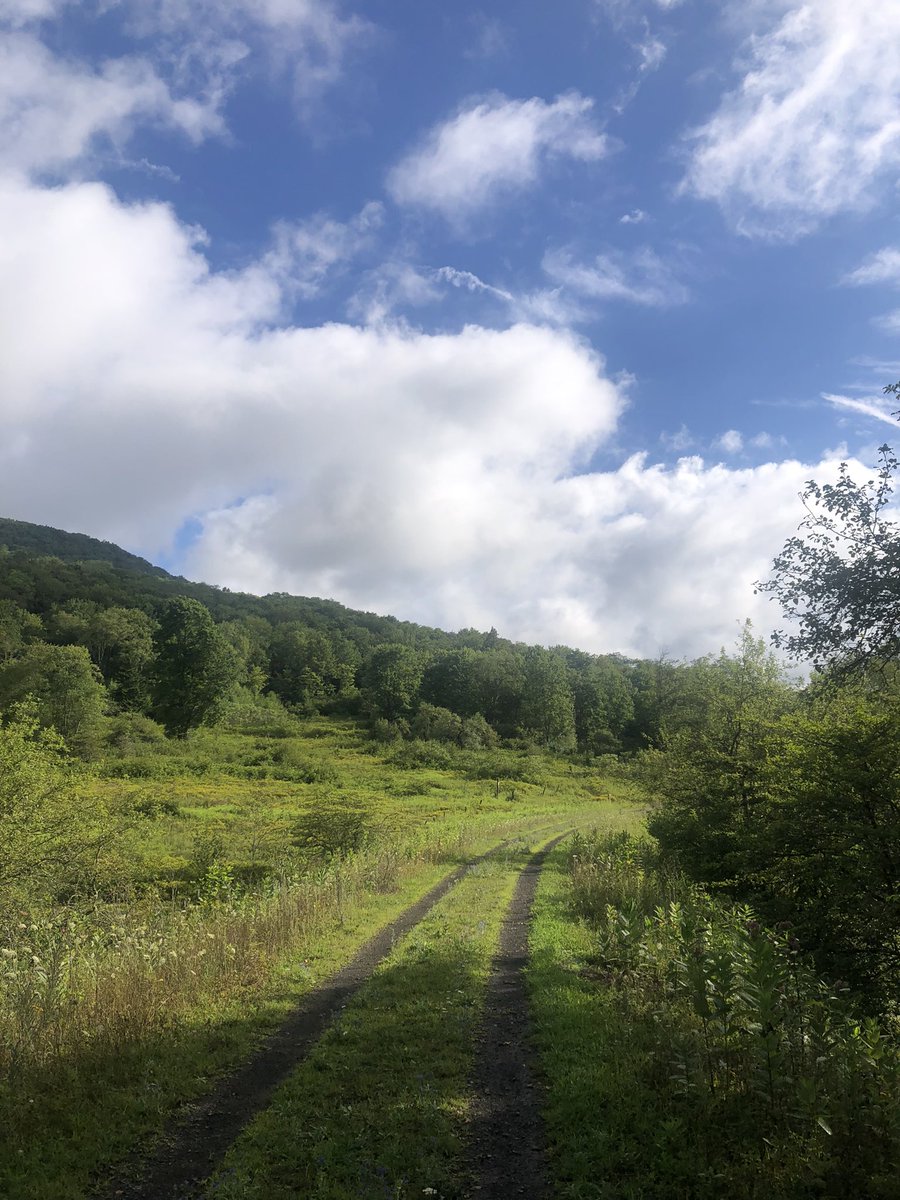 senatorxctrk's tweet photo. #DEXCTF Preseason Camp Day 3 included a nice recovery run on the West Fork Trail in Glady, WV. The mens team got lucky and saw a black bear on the trail! https://t.co/V9xKHHZMWx