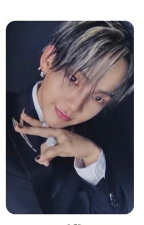 YEN 엔 🆔️🦔🍀🐮💎💎 tweet media