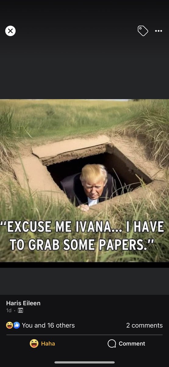 Lori zech (@lorizech) on Twitter photo 