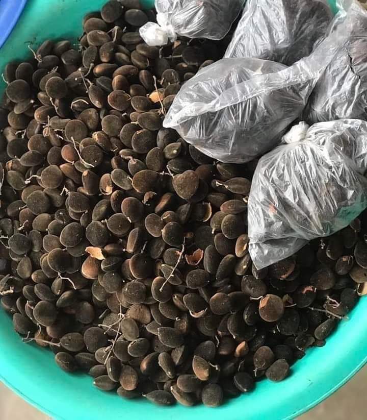 What do they call this in your language?