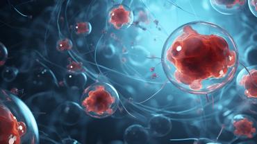 Designs4Health's tweet photo. Nicotinamide riboside (NR) is a variation of vitamin B3 (niacin) and is a building block for NAD+.
โจhttps://t.co/tKLKzsLpdQ
#NAD #NR #niacin #designsforhealth https://t.co/NAGKiBwd8H