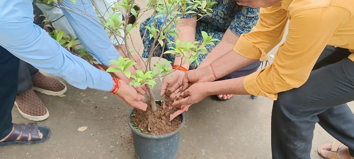 theladywilson's tweet photo. The LWM participated in Meri Mitti Mera Desh and Har Ghar Tiranga Campaign for celebrating 77 years of freedom 🇮🇳🇮🇳🇮🇳 https://t.co/wAE91ZwG2o