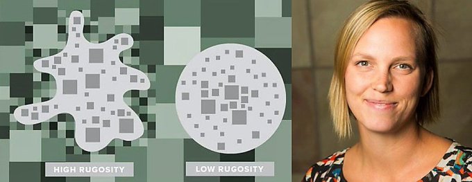 LA Network tweet media