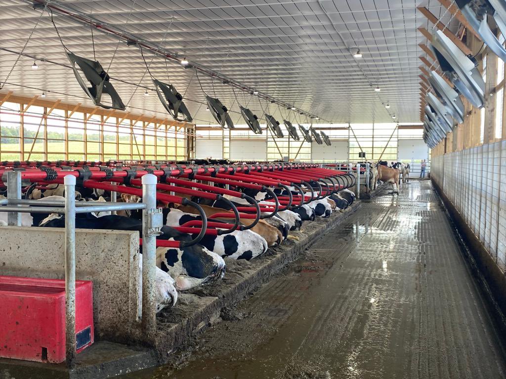EASYFIX_USA's tweet photo. We are at an Open House today at Pinetree Dairy in 📍Burbank, Ohio 🐄

The barn is fitted with the ultimate EASYFIX Livestock Comfort Solutions providing our customers with 𝙥𝙚𝙖𝙘𝙚 𝙤𝙛 𝙢𝙞𝙣𝙙 ✅ https://t.co/kmgcriPzUO