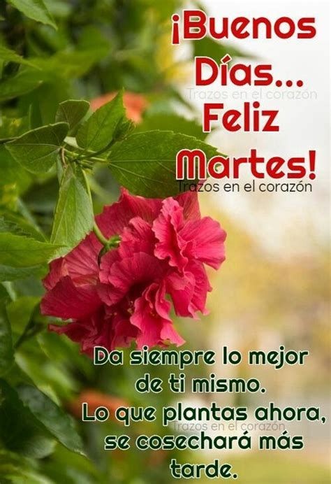 🤗💞🤗💞🤗💞🤗💞🤗💞🤗💞🤗💞🤗💞 #InnovarParaCrecer @Neyda21708001 @Orinoco_YB @Vicky_1511 @Armandocf2022 @willrivas47 @jbdelgado9 @MaianaNoguera @Jonatha718