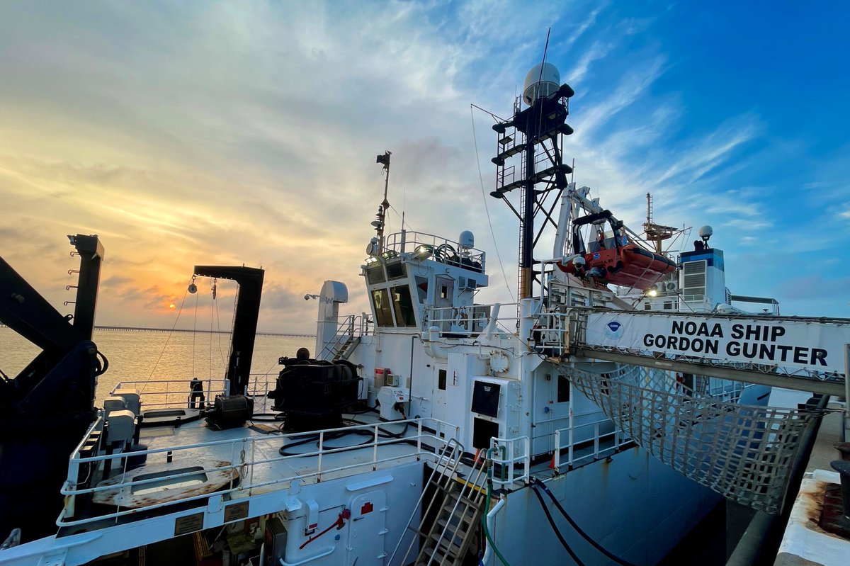 NOAAFisheriesSE's tweet photo. Do you wonder what life is like for @NOAAFisheries scientists working on a research vessel? This blog reveals how the marine mammal and seabird teams work together to collect data!
Learn more: https://t.co/yfHcdwVBc1
#NOAASoutheastScience https://t.co/pDvNlacNYE