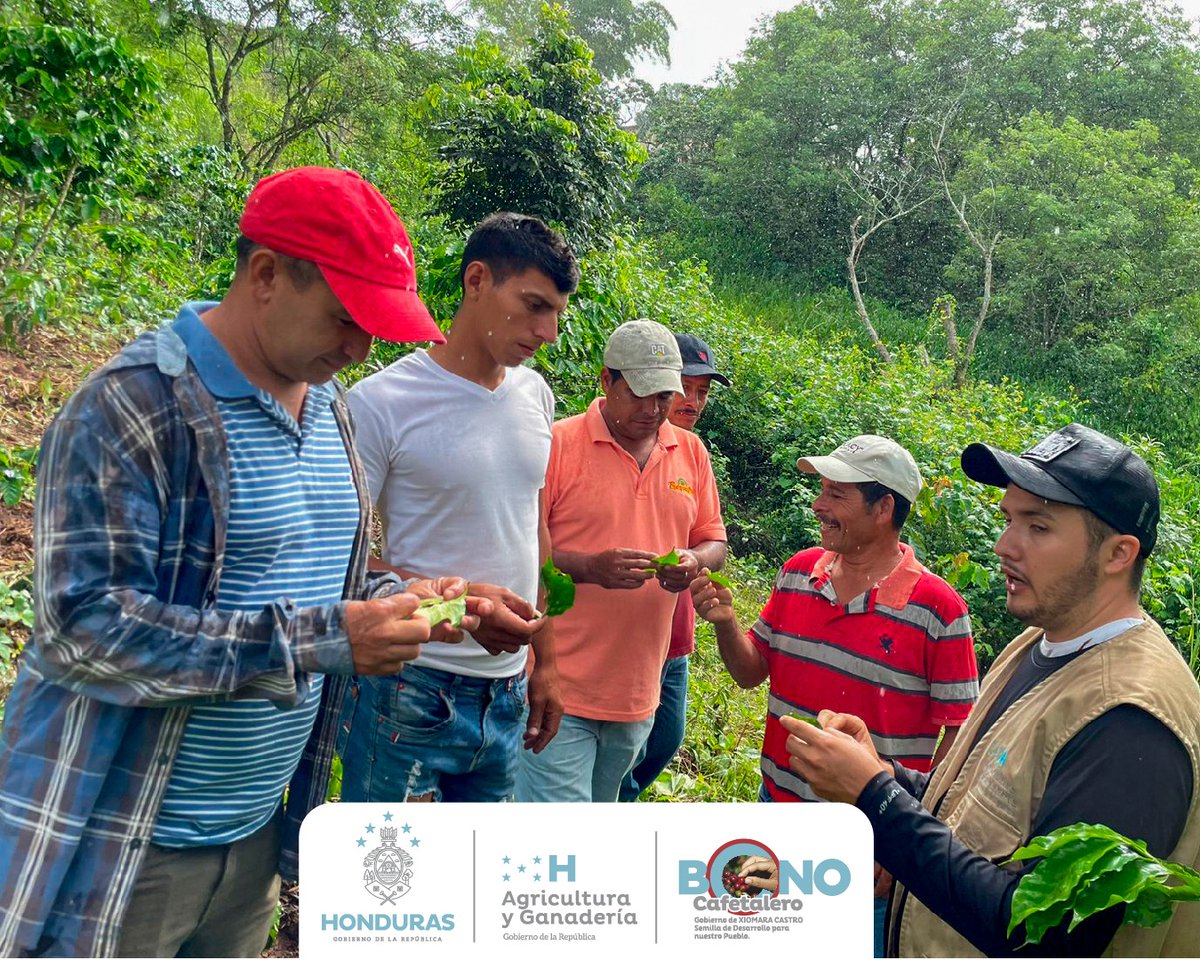 SAG Honduras tweet media