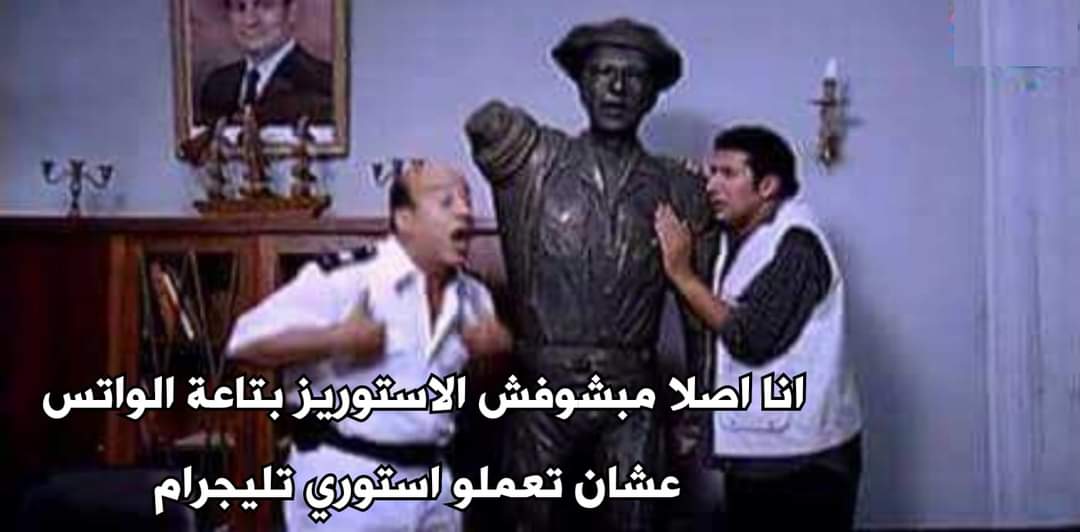 True Memes (@truememes_) on Twitter photo 