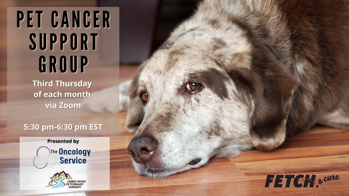 At FETCH a Cure, we understand how difficult it can be to receive the news that your pet has cancer. Join us this Thursday at 5:30 pm for our Pet Cancer Support Group. 

Registration link below:
forms.gle/89ZVMp9DDJ6Xjn…
*This is an online event only.
