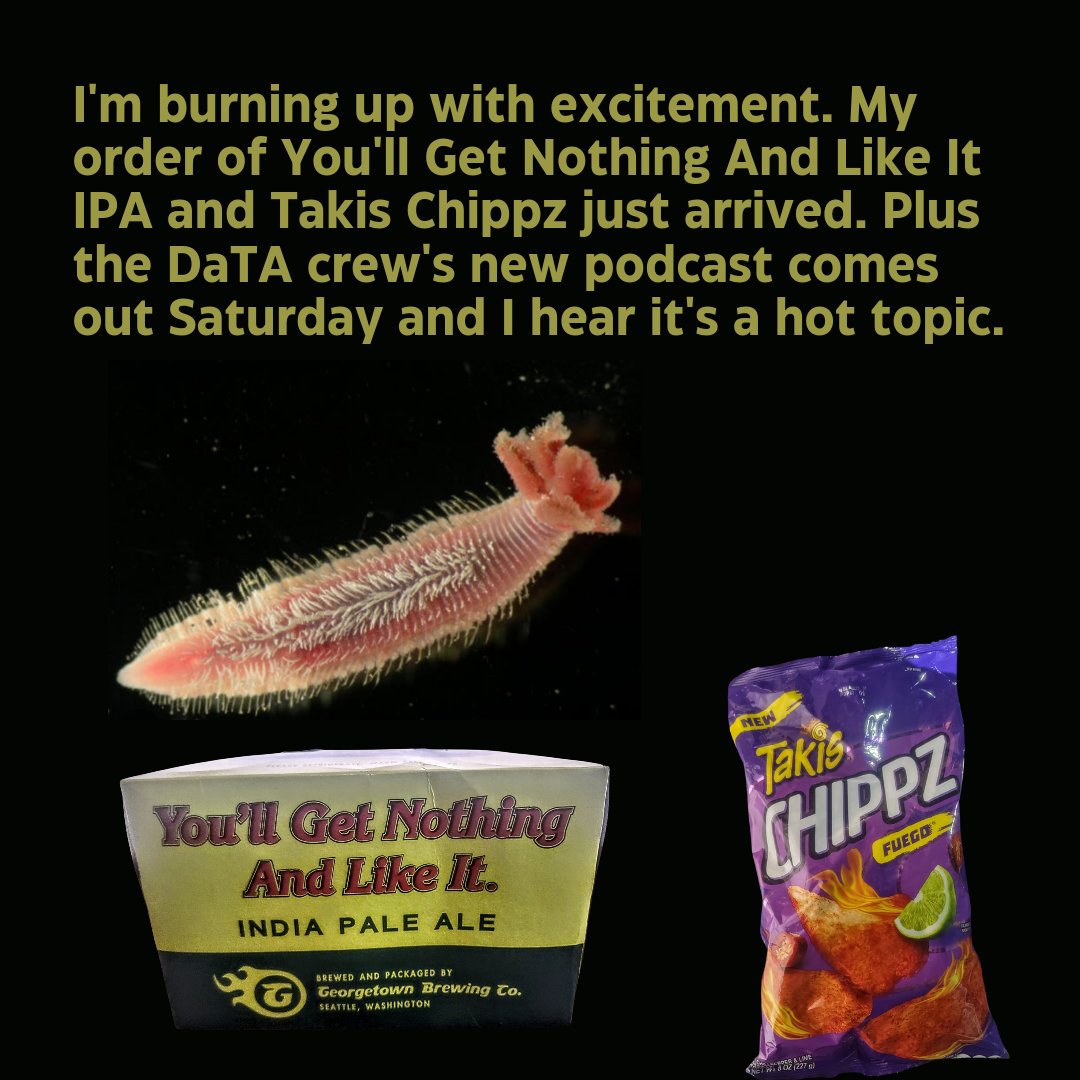 Drinking and Talking Animals tweet media