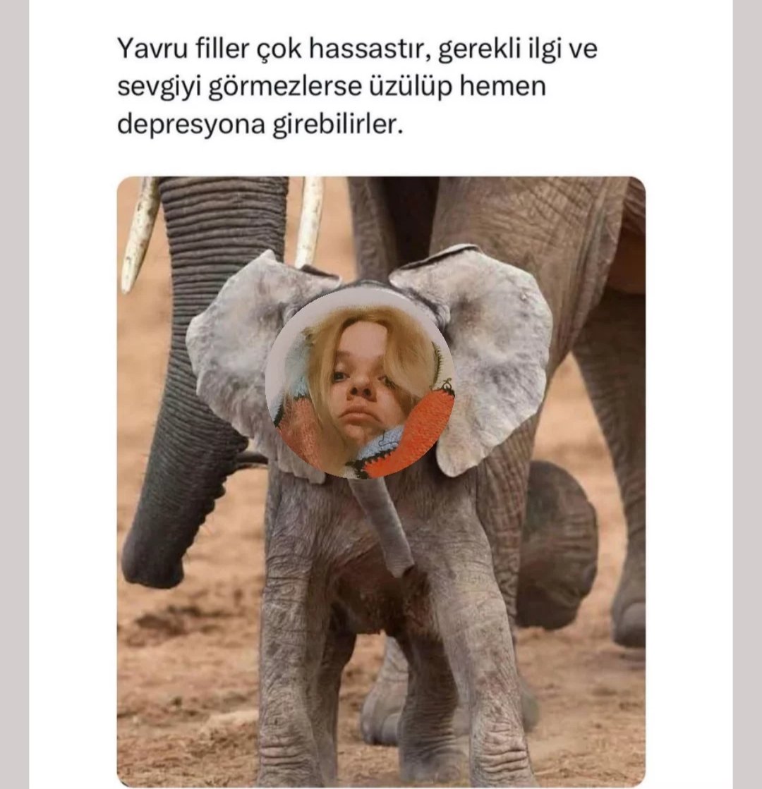 Hikayeme neden yanıt vermiyor diye düşünürken attığım story