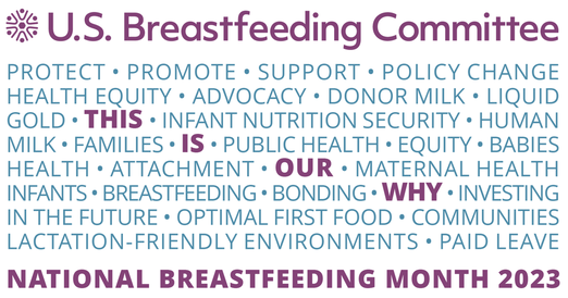 August is National Breastfeeding Month! USBC's 2023 theme, This is Our Why, was conceived to shine a light on the many and varying reasons why this work is so important and center the conversation on the babies and families who need our support. 
#NBM23