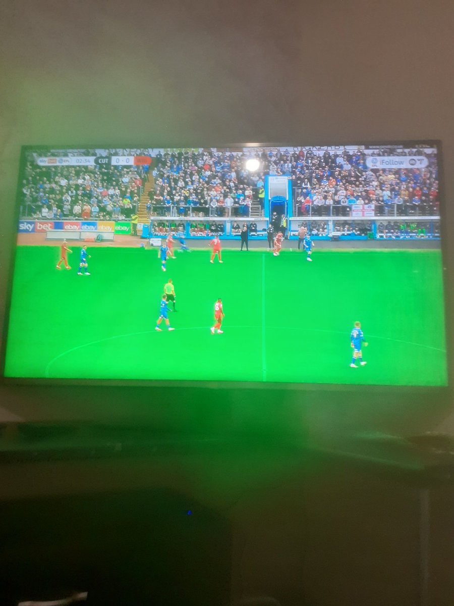 Up the tics 🔵⚪ #wafc