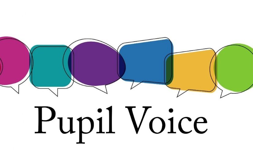 MGS Pupil Voice tweet media