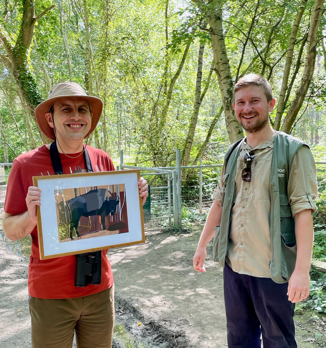 Great time on Sat with Tom + Louise from  @KentWildlife learning about the #WilderBlean #bison #reintroduction project Presenting a picture I did of the matriarch Great partnership with @WildwoodTrust and @PPLPubAffairs true #socialvalue #ESG #wildlifeart #conservation #inclusion