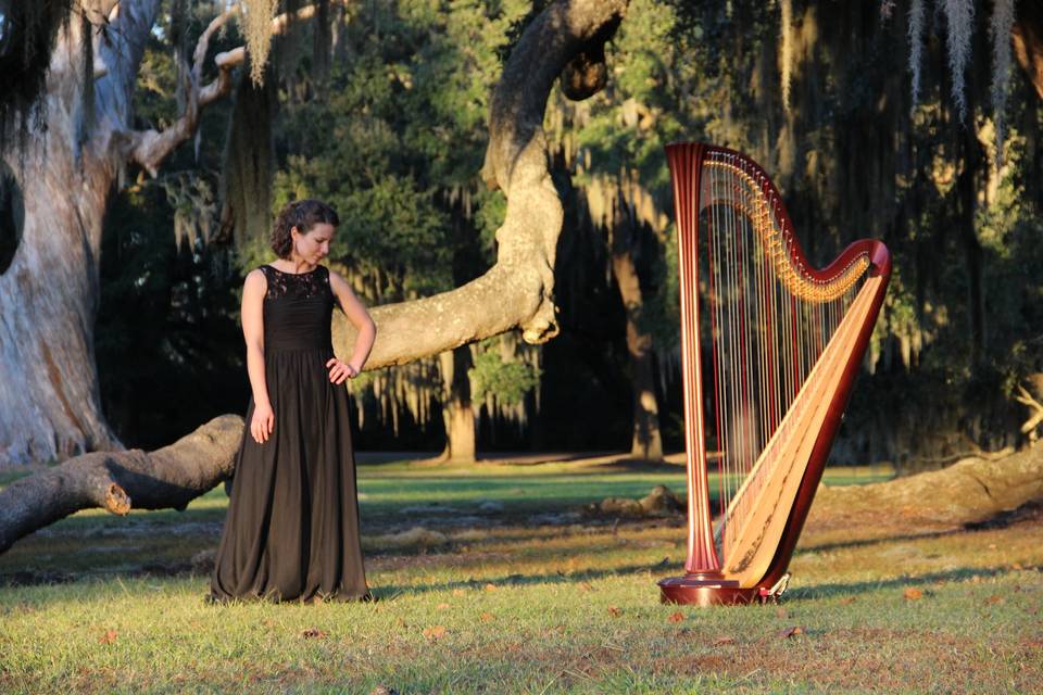 Drop in this Thursday, August 17 from 6–8pm for this month's Thursday Night Live performance by Jessie Meltz and her harp!

Become a Member today to experience 12 months of Thursday Night Live performances >>> bit.ly/3O98AdI