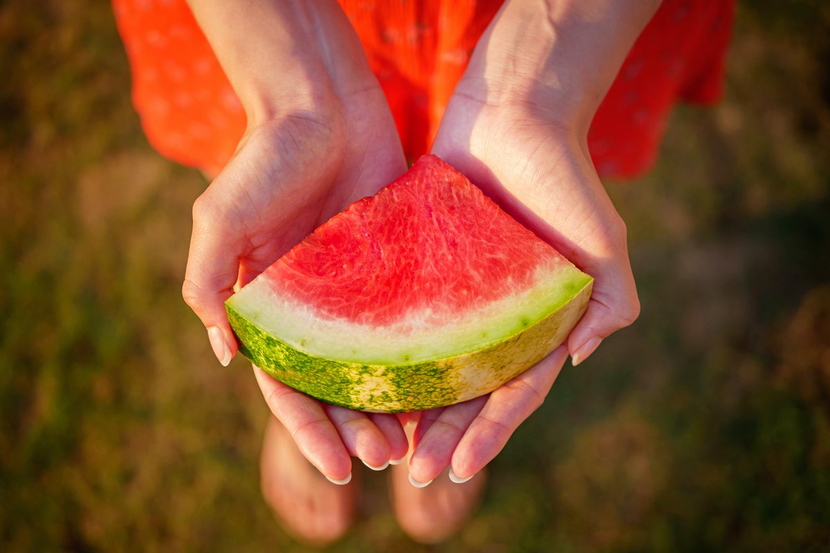 RootsFoodGroup's tweet photo. Did you know? Watermelon is much more than a just a fun summer treat! This delicious melon can help keep you hydrated, relieve muscle soreness, support eye health, boost your immune system, improve digestion, and manage blood sugar. 🍉

[Source: https://t.co/fMPbCh7a6C] https://t.co/kAhSOmqjuk