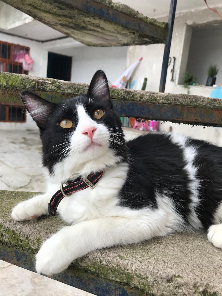 K A R E N L A N D E R O tweet media