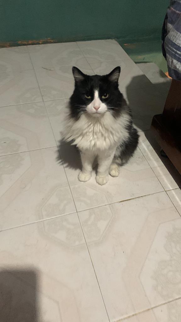 K A R E N L A N D E R O tweet media