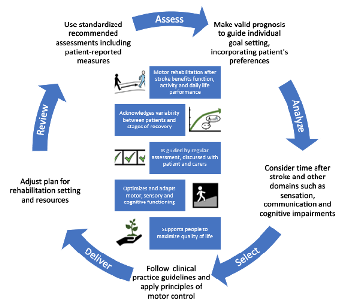 Great collaborative work initiated by @ESOstroke improving motor rehabilitation after stroke - a definite must on the reading list - incl agreed definition, field update, evidence base for assessments & interventions @KULneuroPT @DrAltMurphy @StrokeScience