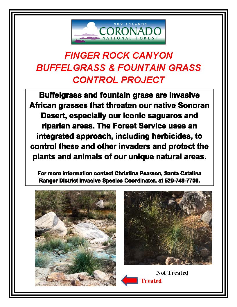 Coronado NF tweet media