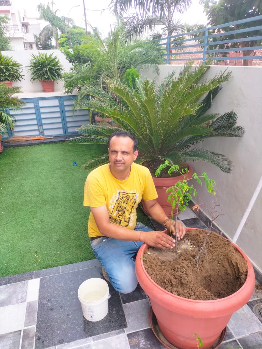 stenodeepika23's tweet photo. #MegaTreePlantation करती हुई साध संगत
@Gurmeetramrahim

MSG Bhandara https://t.co/9se3ZjRYTv